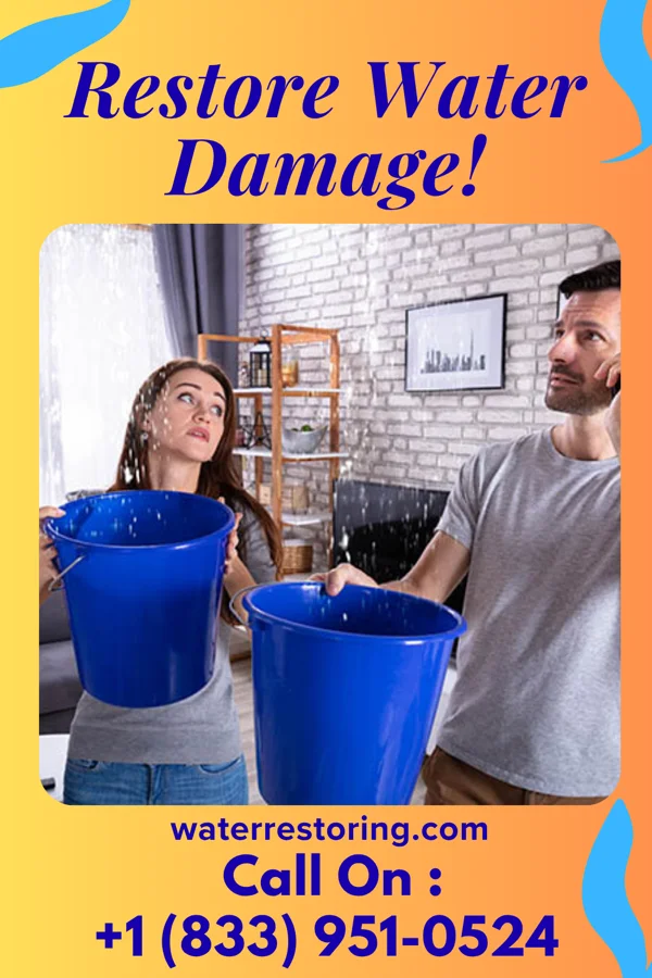 water restoration Coastal Storm Damage Force Livonia