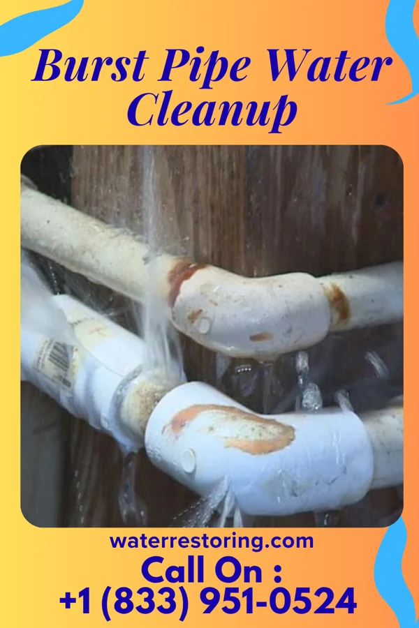 Burst Pipe Water Cleanup in Livonia, IN