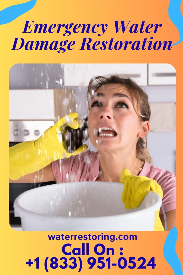 Emergency Water Damage Restoration in Livonia, IN