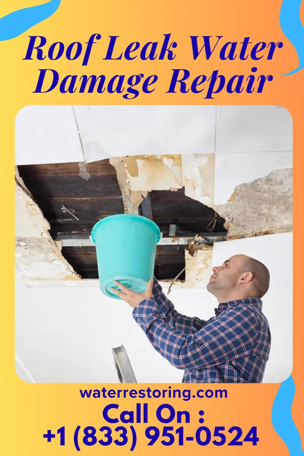 Roof Leak Water Damage Repair in Livonia, IN