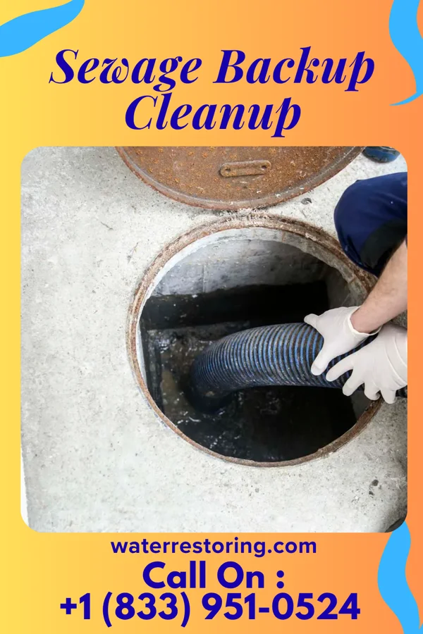 Sewage Backup Cleanup in Livonia, IN